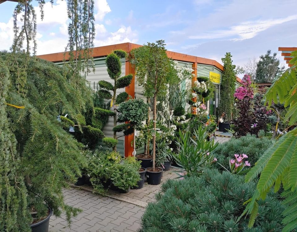 záhradný skleník